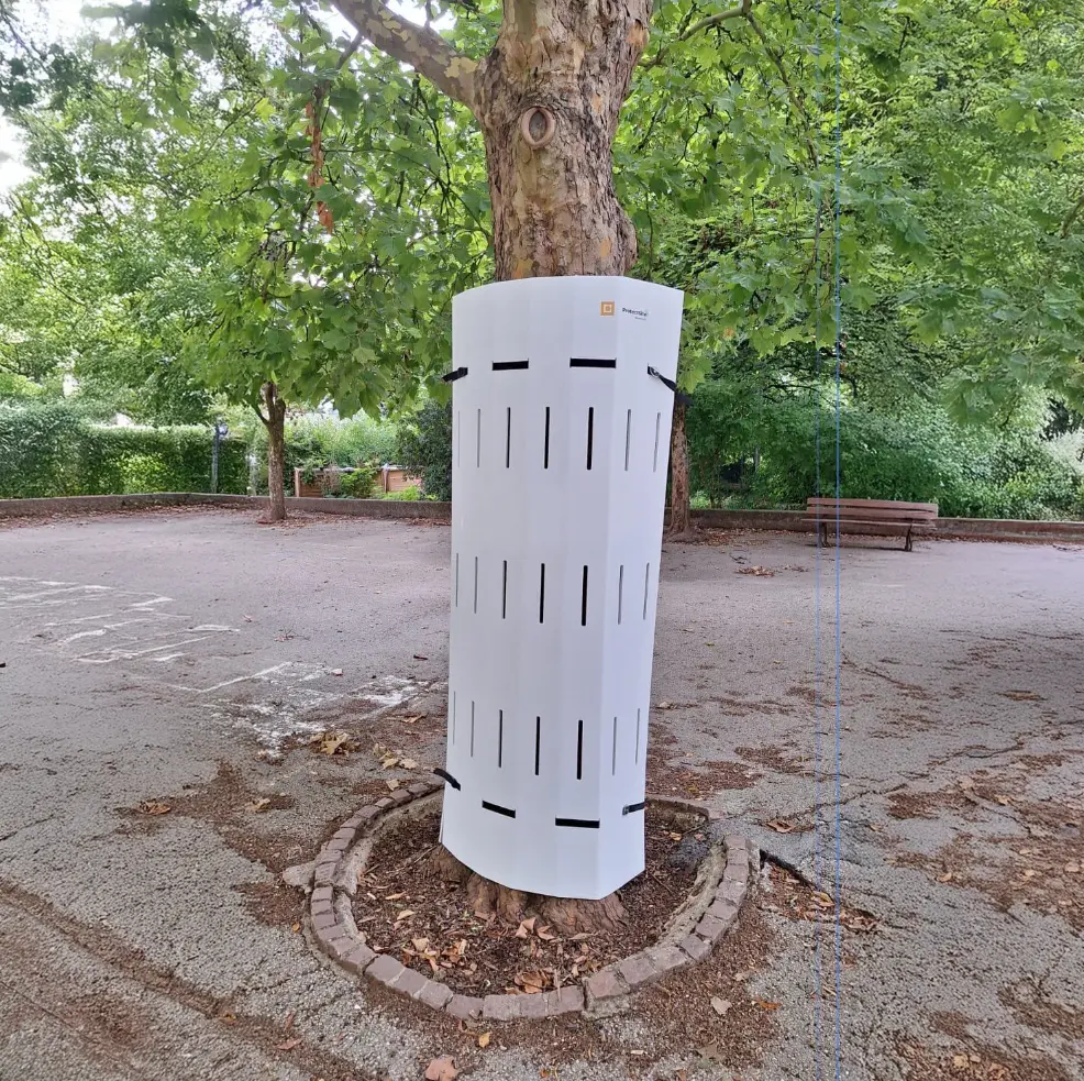 Capture d’écran 2025-12-05 à 08.01.22.webp