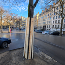 Protection d'arbre bois 