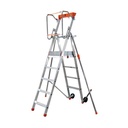 PIRL fixe avec plateforme FDS