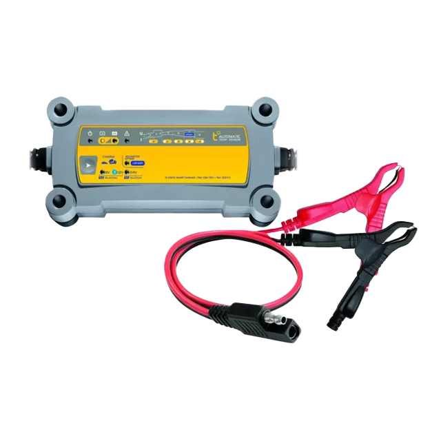 Chargeur de batterie gysflash 12.12