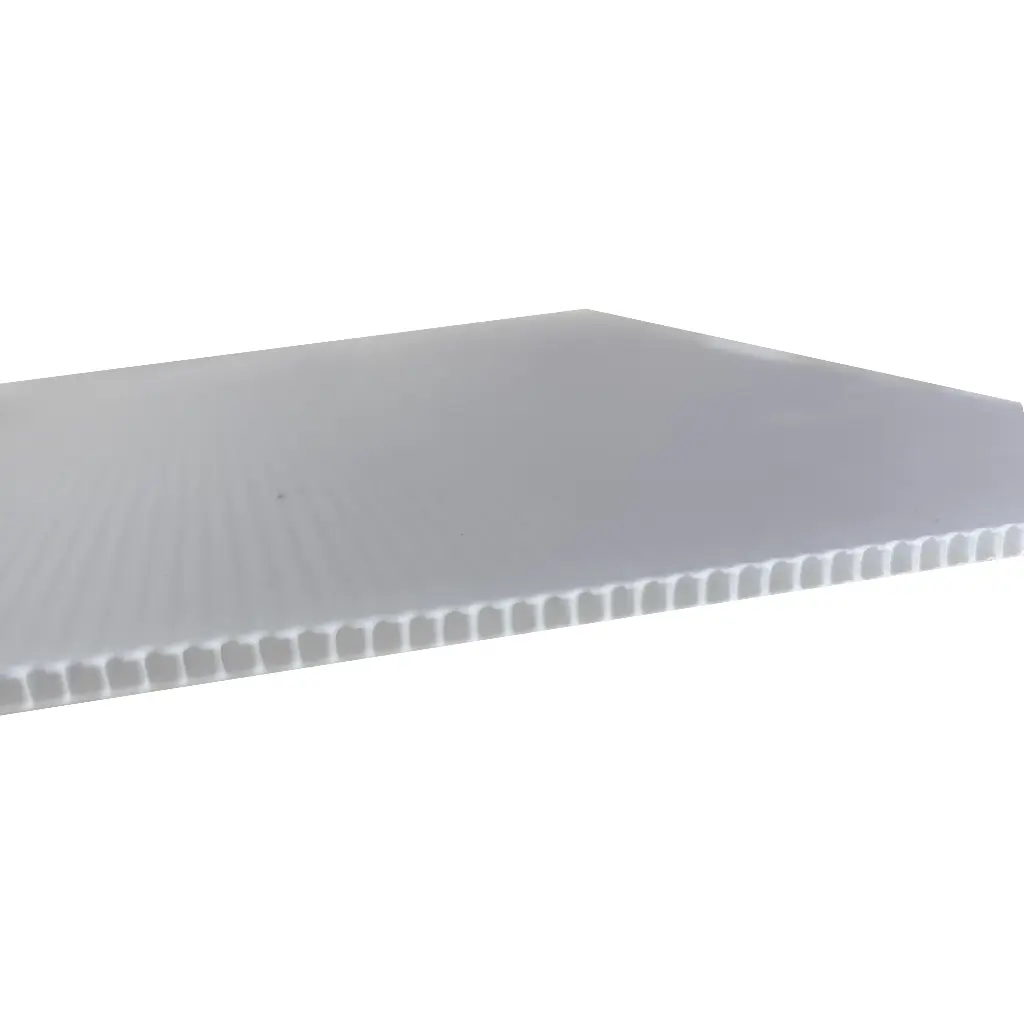 Plaque de protection PP alvéolaire ép. 2mm translucide 2400 x 1200 mm 