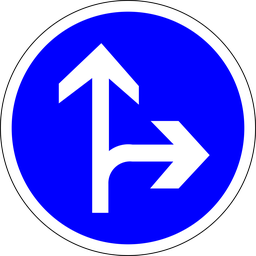 Panneau permanent Obligation d'aller tout droit ou à droite - B21-D1