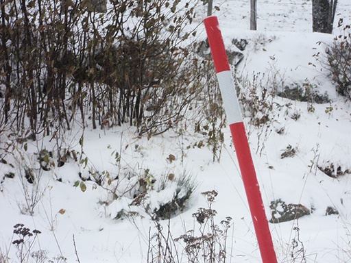 Jalon à neige 1 coupe biseau
